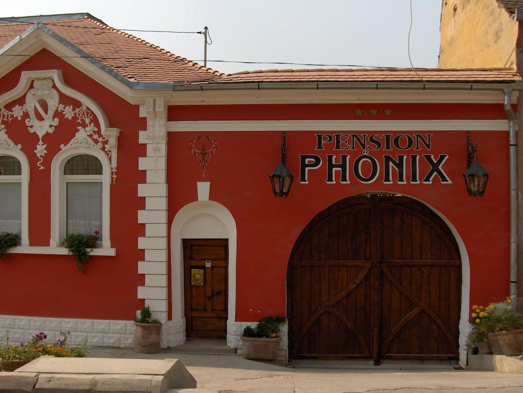 Pension Phoenix Sighisoara Exterior photo